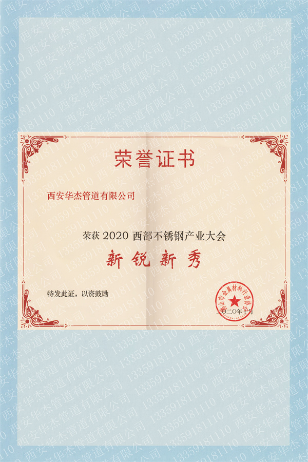 新锐新秀证书